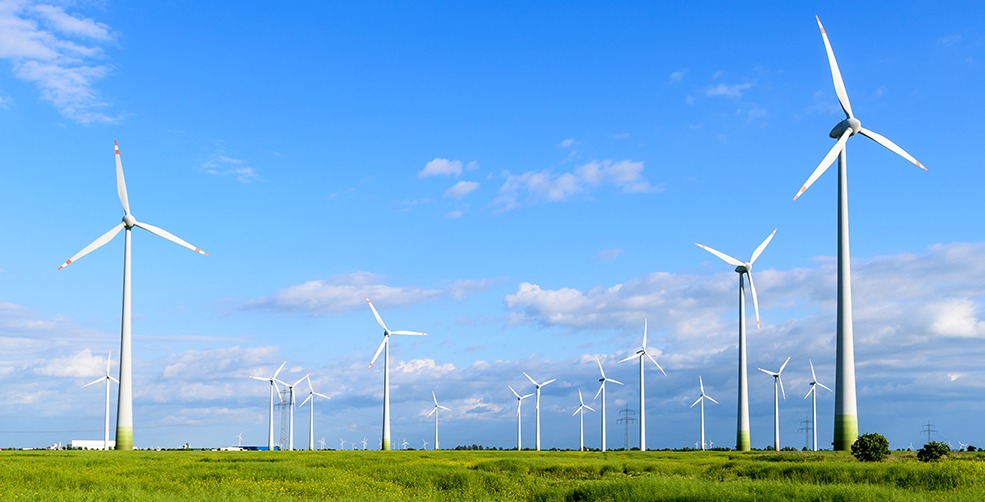 Windpark Fotolia 985x500